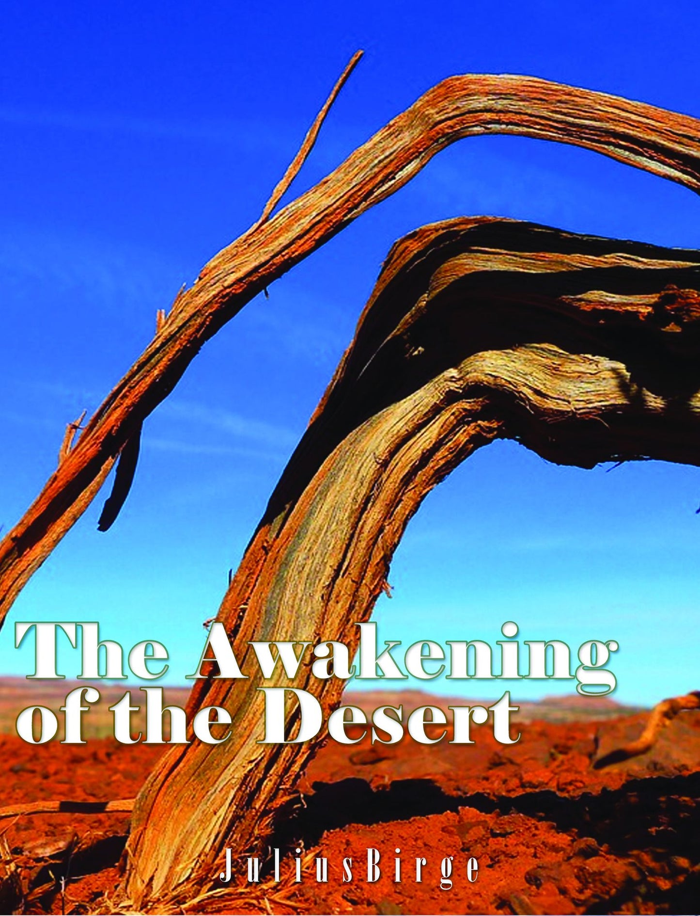 The Awakening of the Desert (Illustrated)