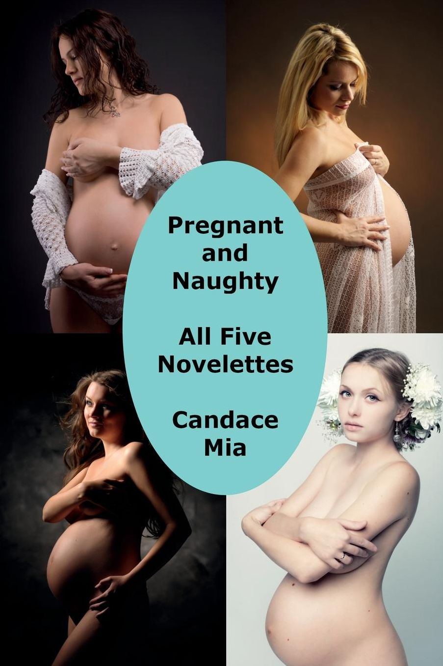 Pregnant and Naughty: All Five Novelettes