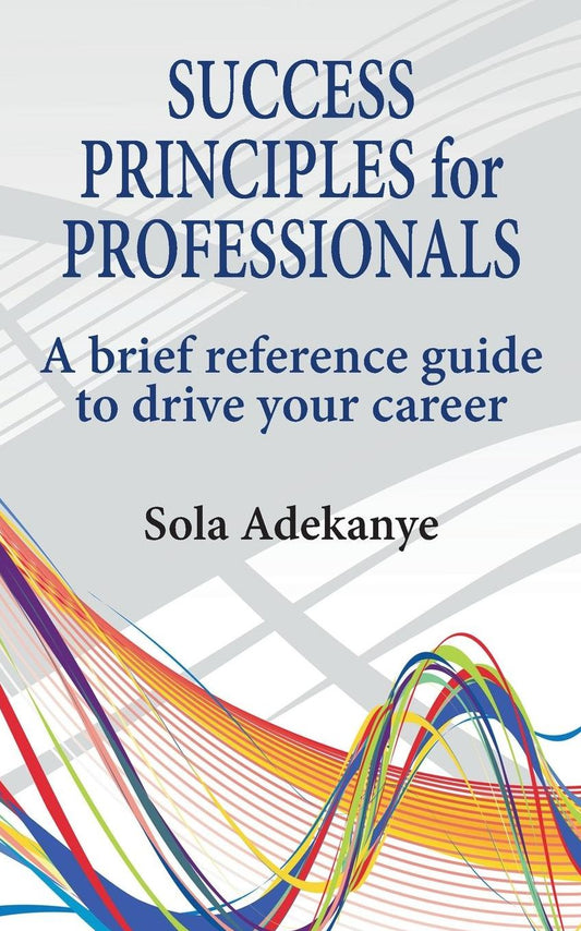 Success Principles for Professionals
