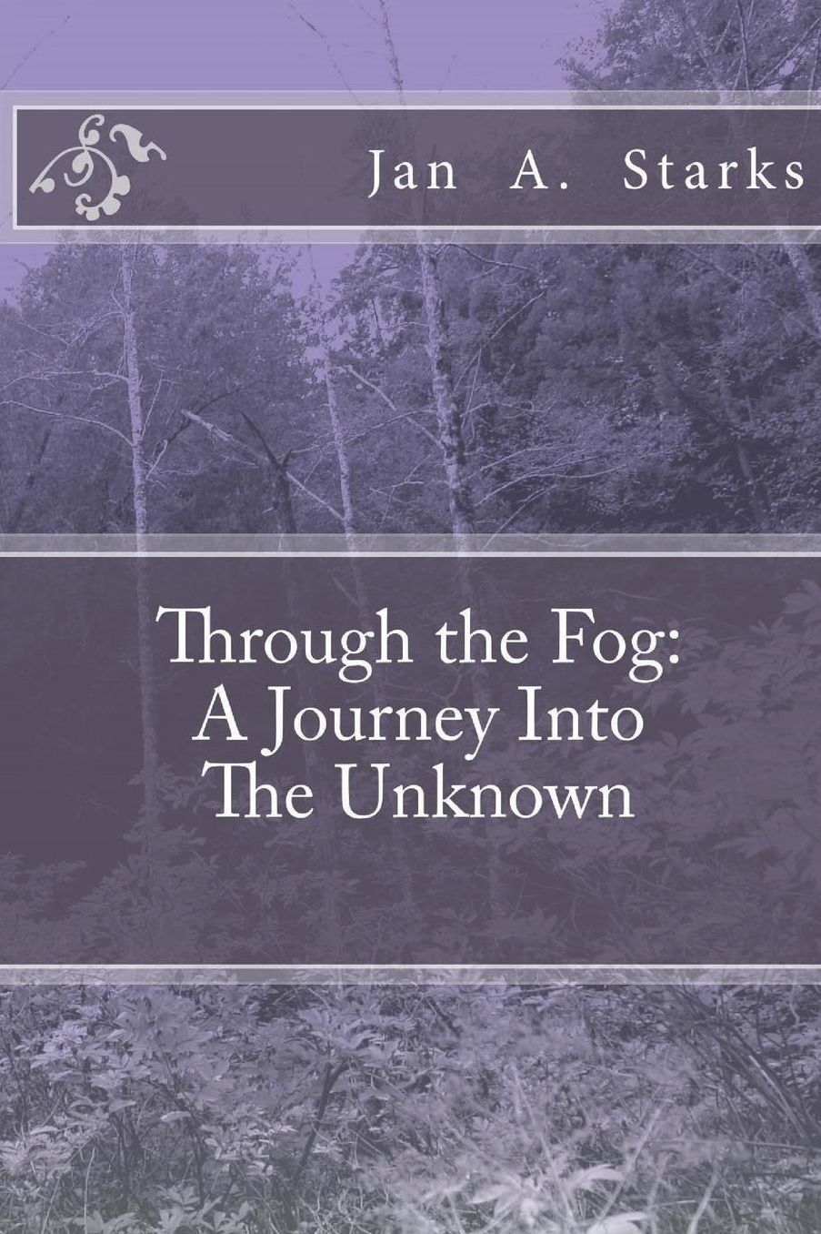 Through the Fog: A Journey Into the Unknown