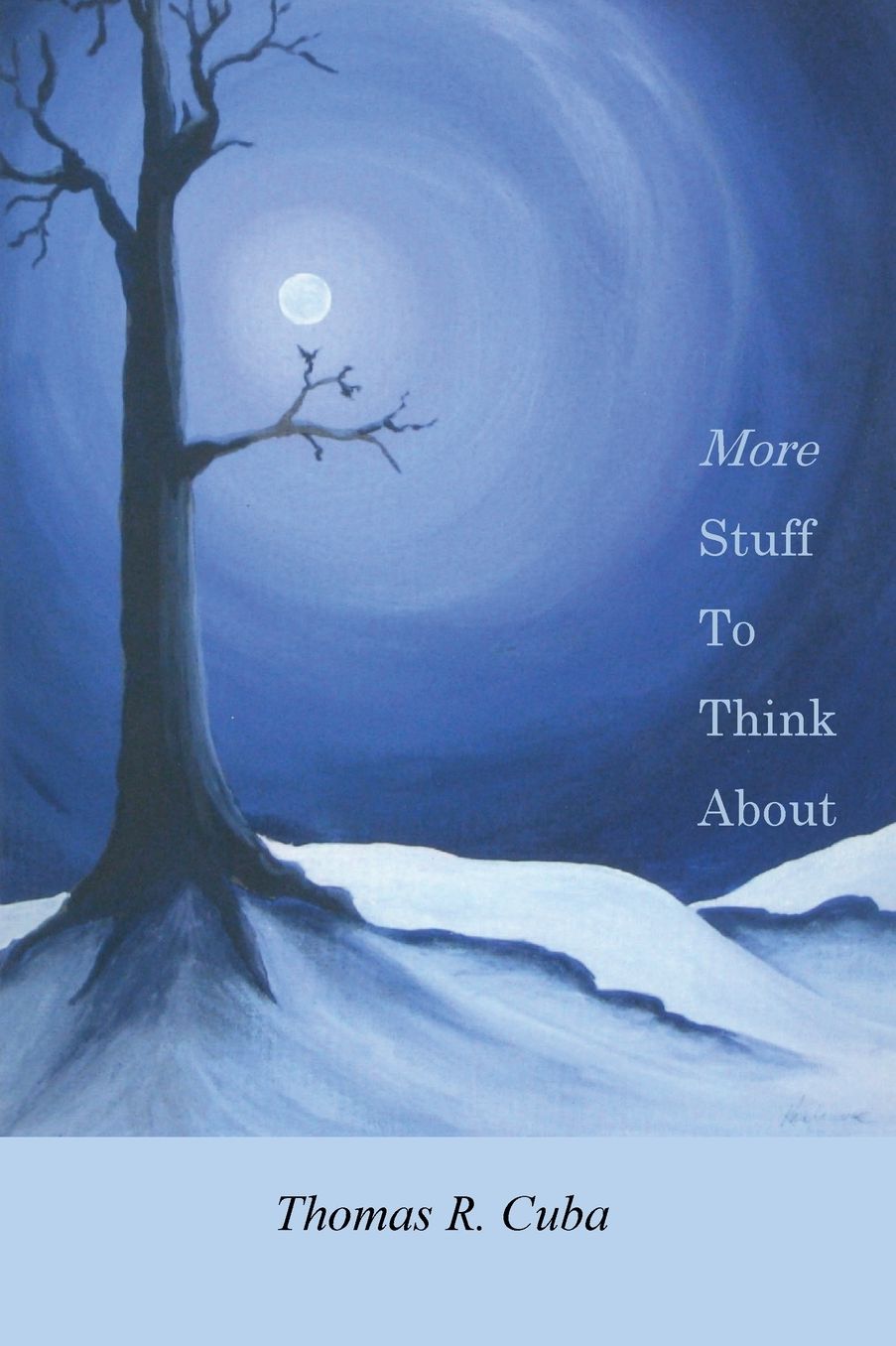 More Stuff to Think about: A Second Collection of Essays