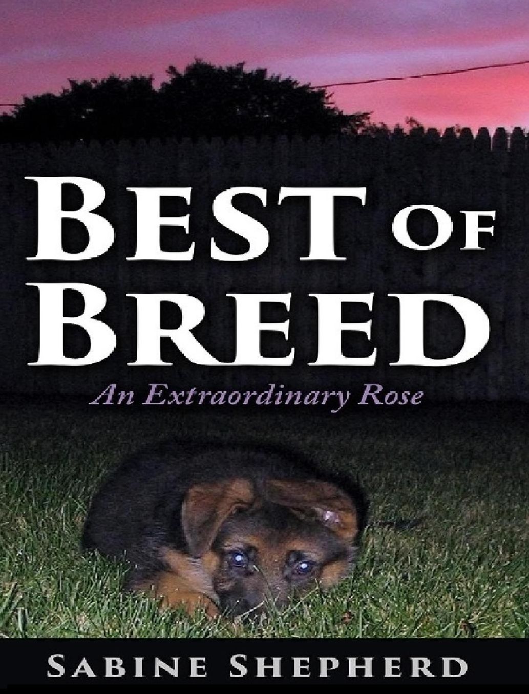 Best of Breed