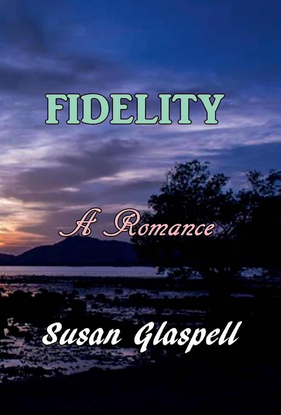 Fidelity