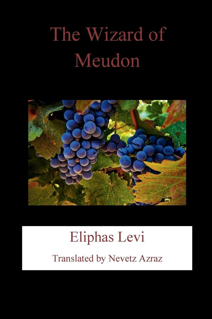 The Wizard of Meudon