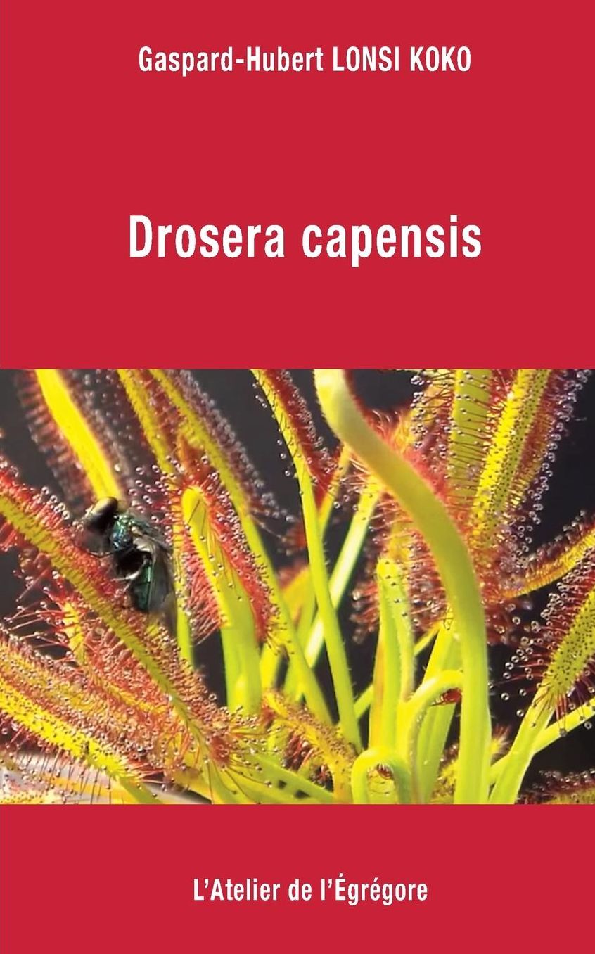 Drosera capensis