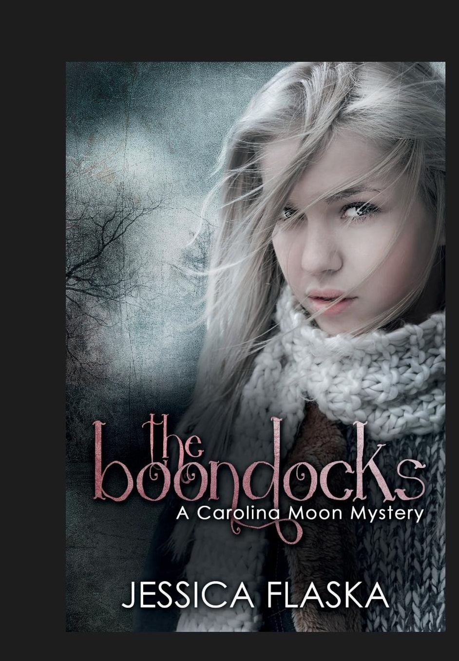 The Boondocks: A Carolina Moon Mystery
