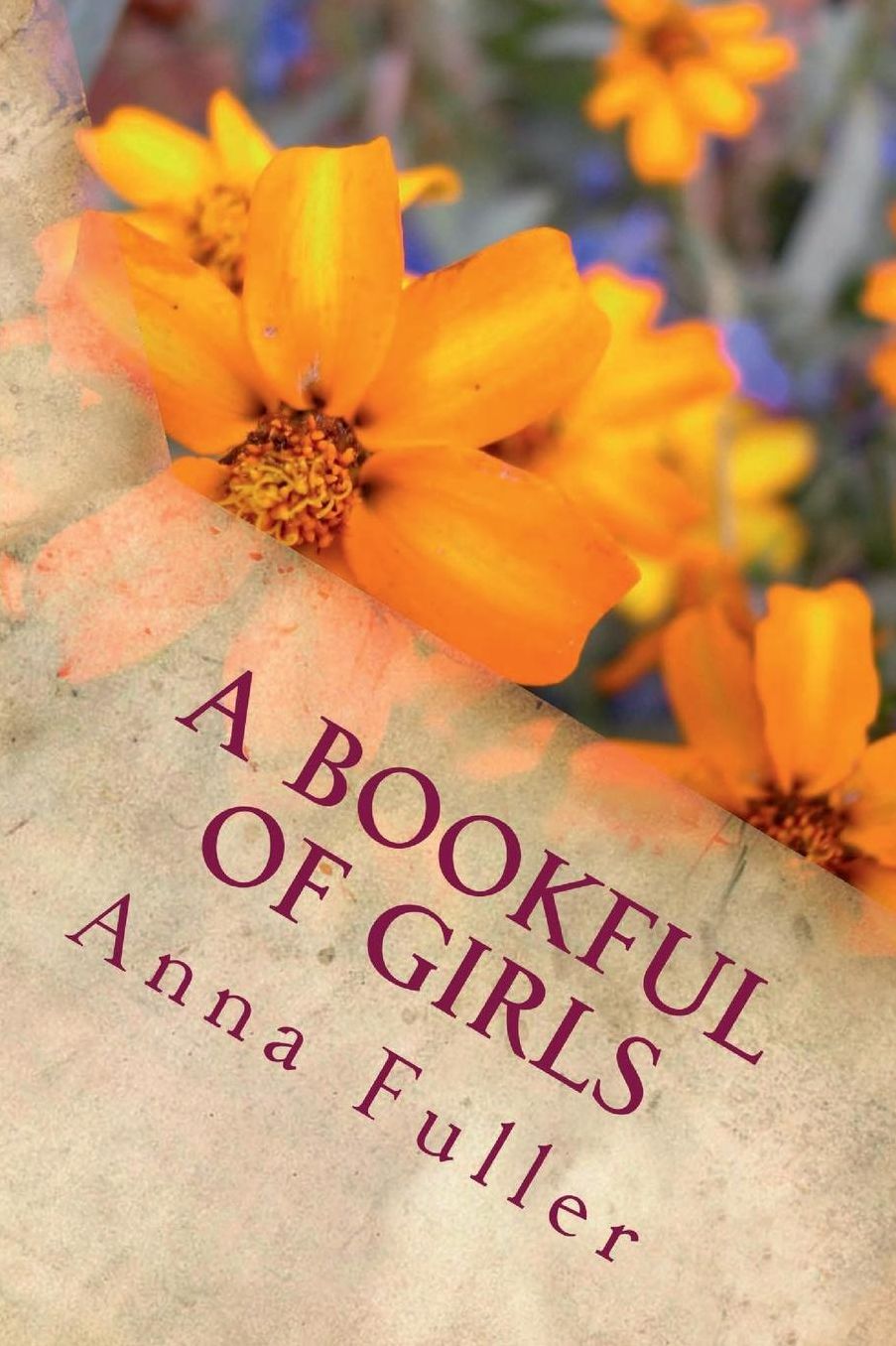 A Bookful of Girls