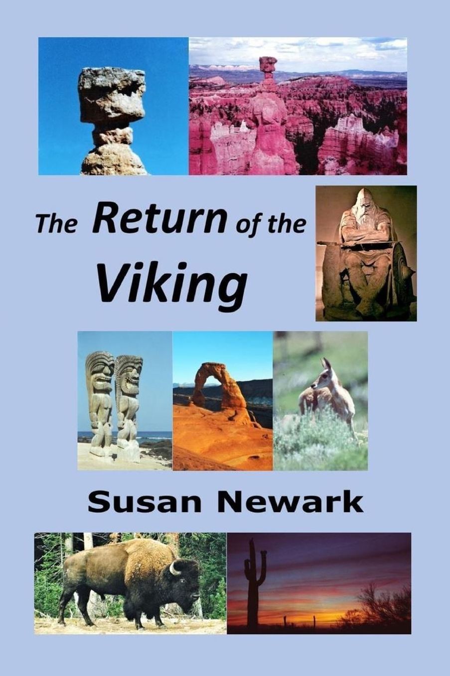 The Return of the Viking