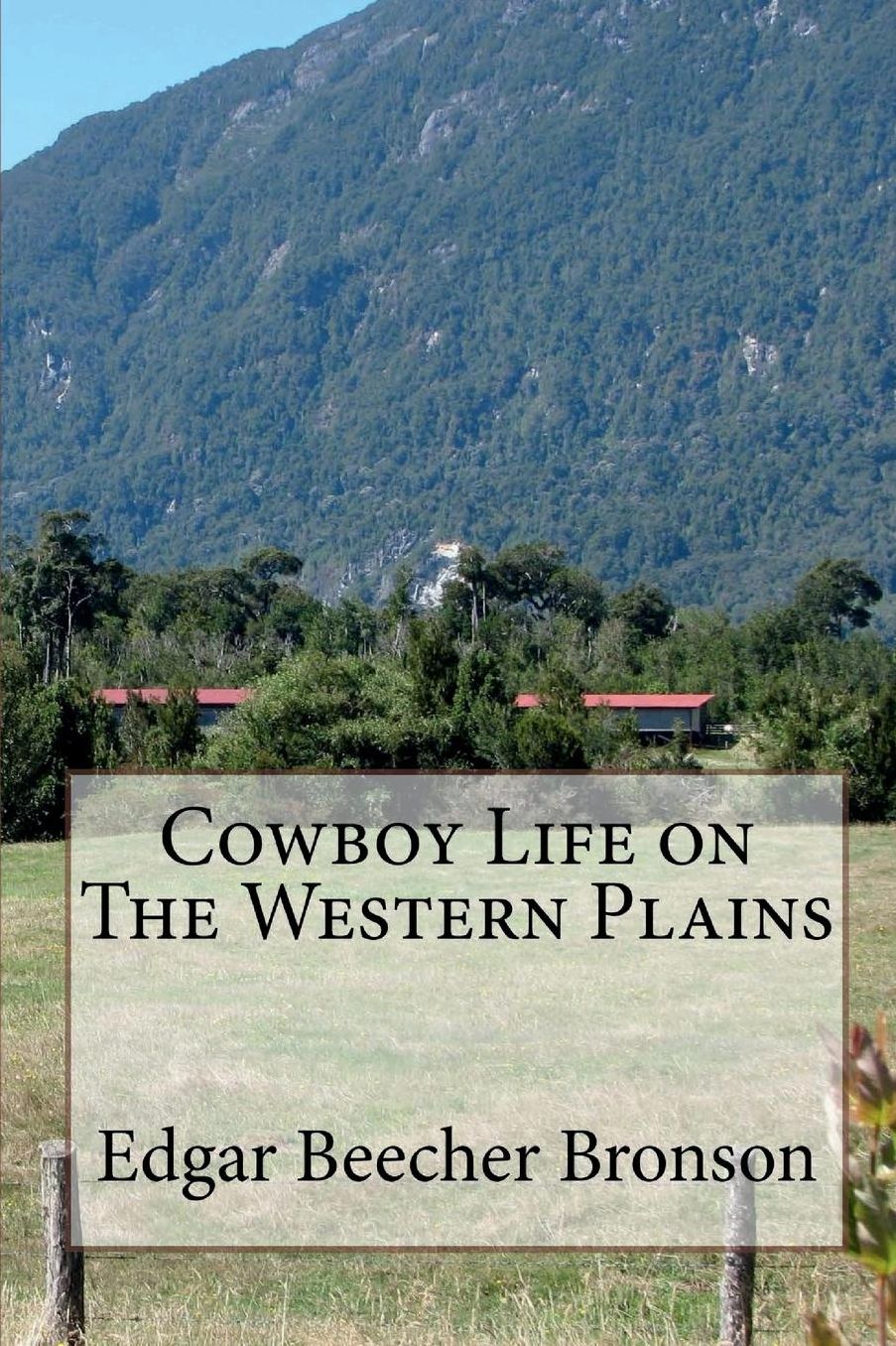 Cowboy Life on The Western Plains