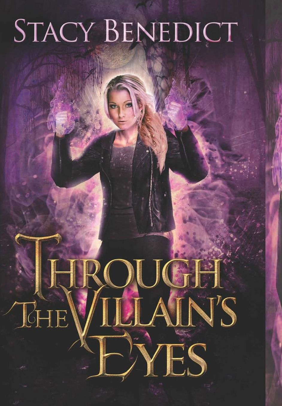 Through the Villains Eyes