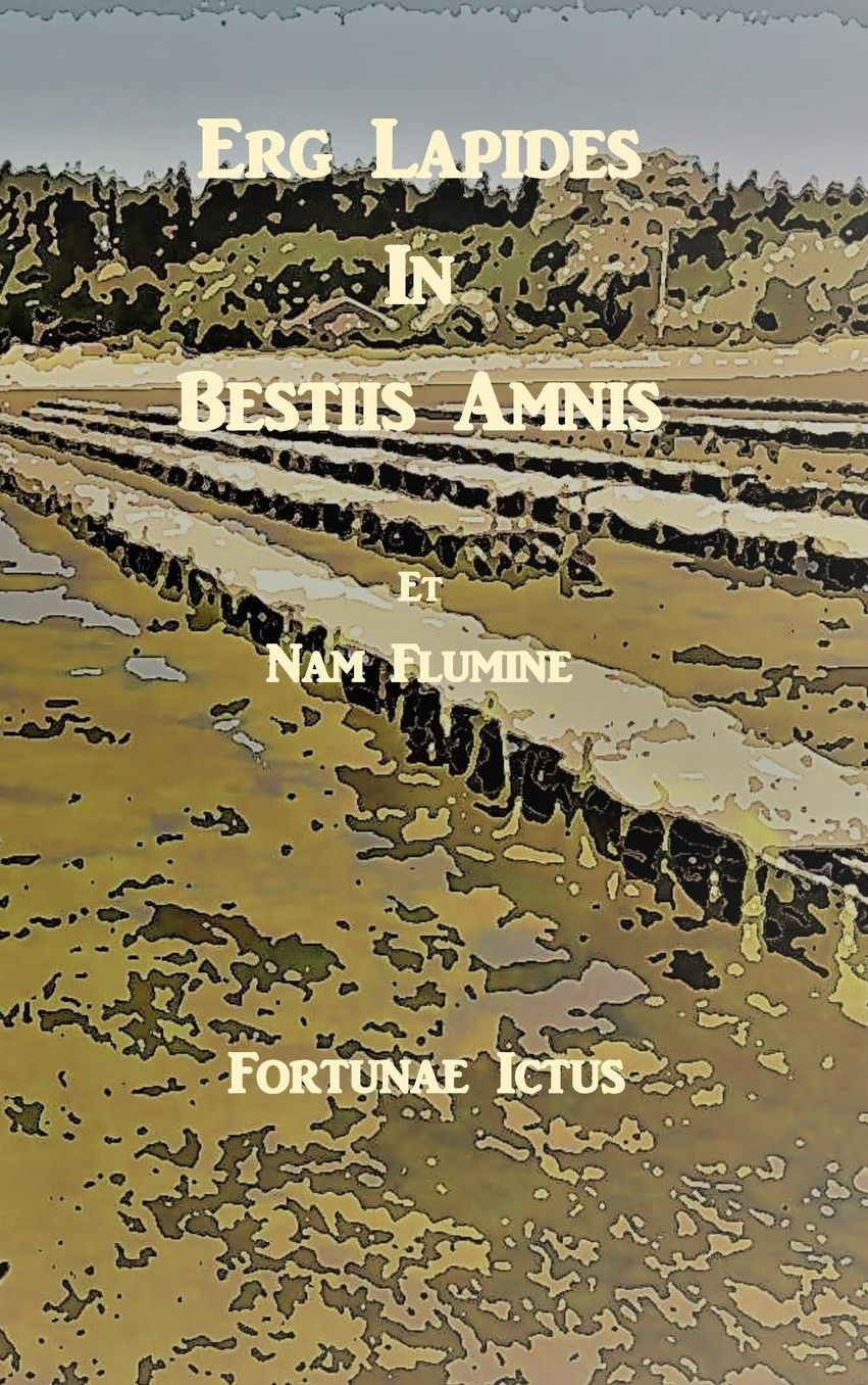 Erg Lapides In Bestiis Amnis