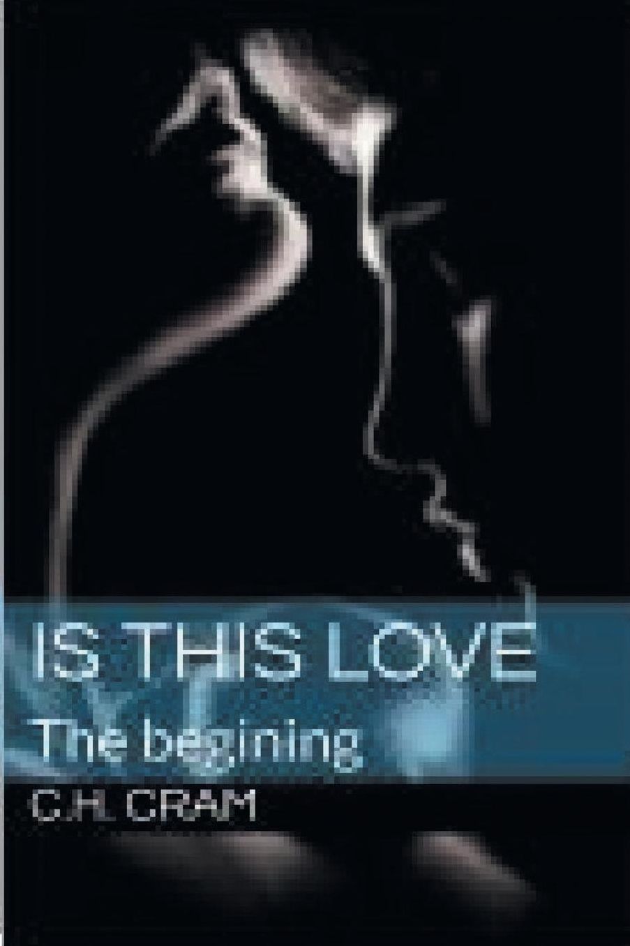 Is This Love: The Beginning