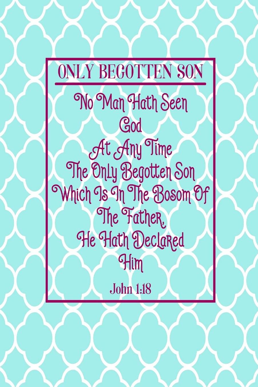 No man hath seen God at any time; the only begotten Son, which is in the bosom of the Father, he hath declared him