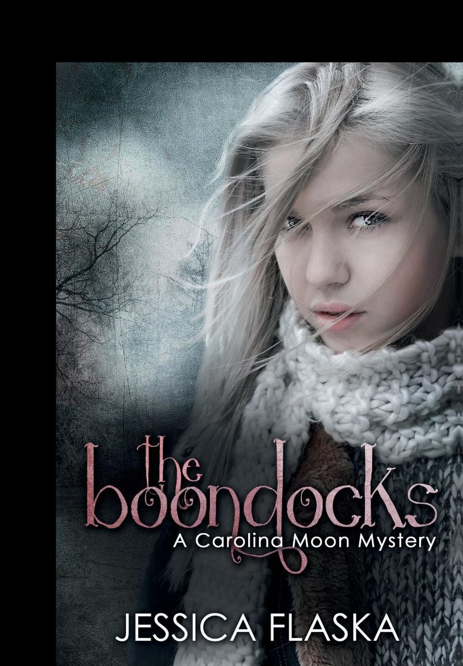 The Boondocks: A Carolina Moon Mystery