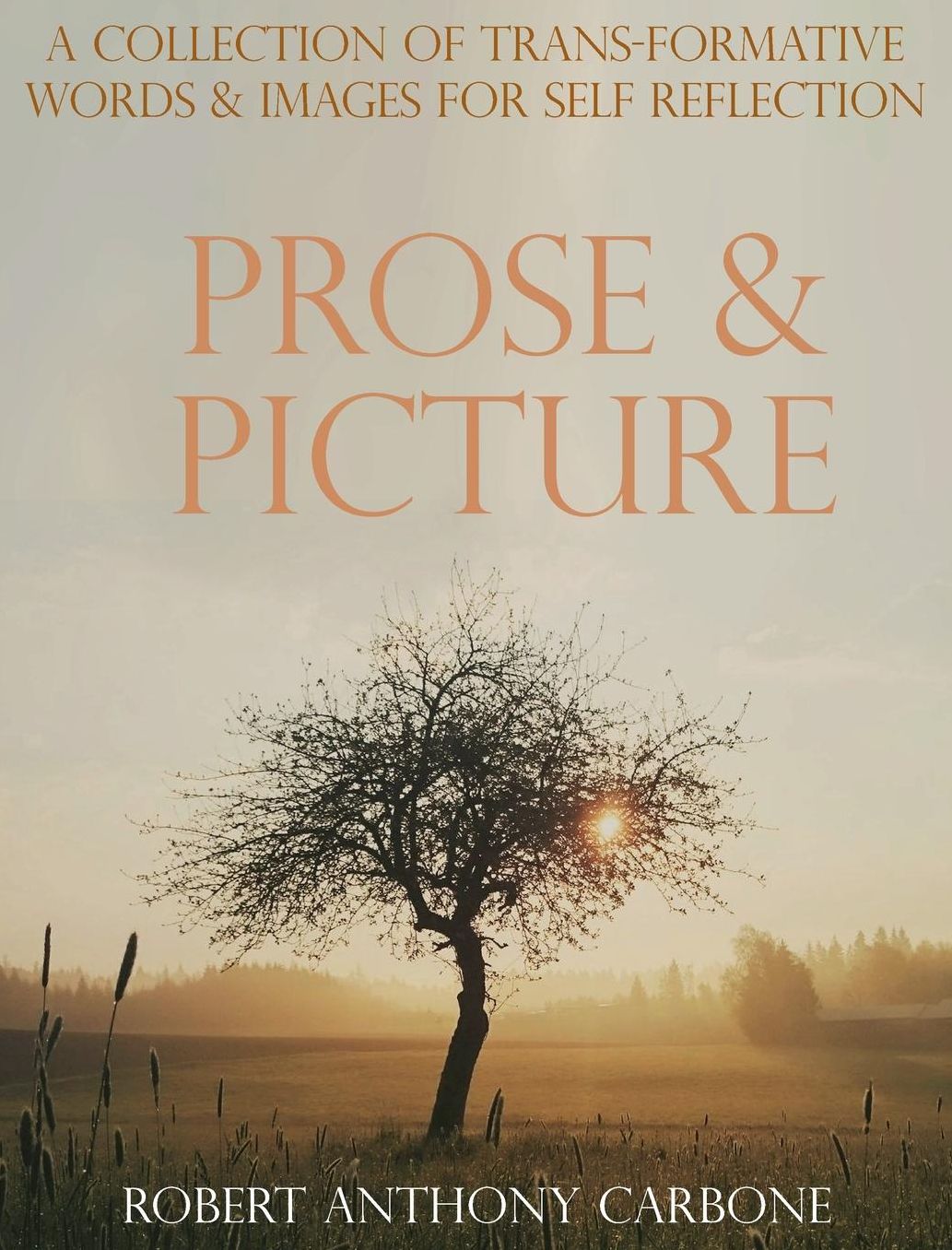 Prose & Picture