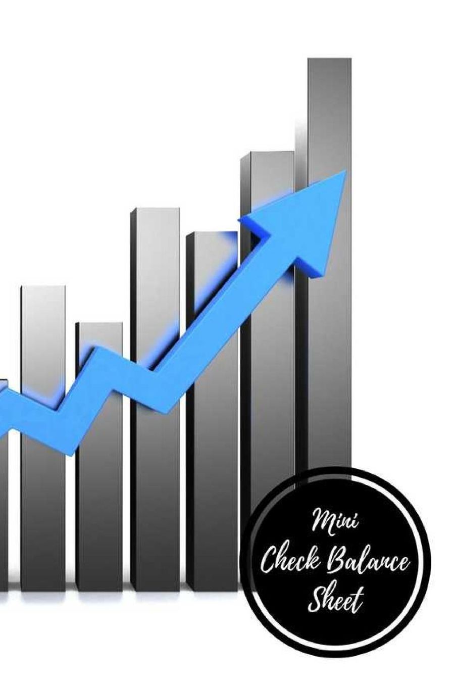 Mini Check Balance Sheet