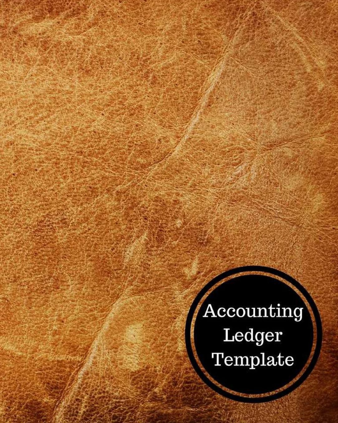 Accounting Ledger Template