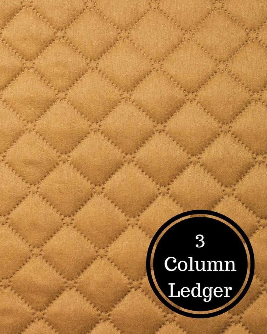 3 Column Ledger