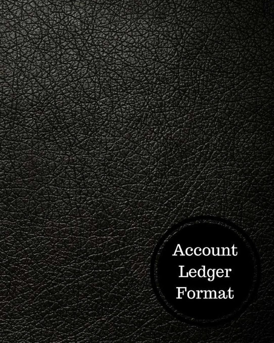 Account Ledger Format