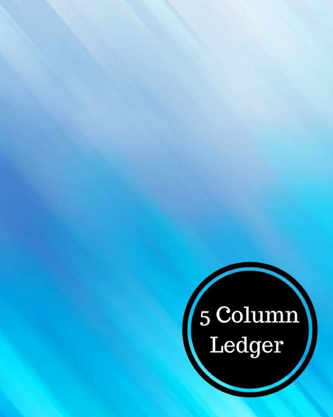 5 Column Ledger
