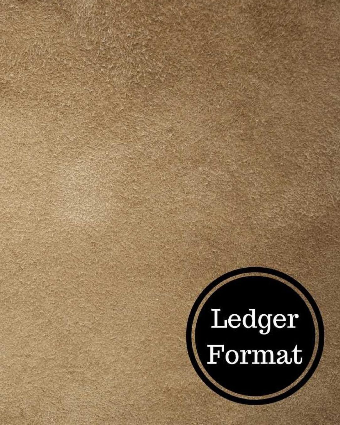 Ledger Format