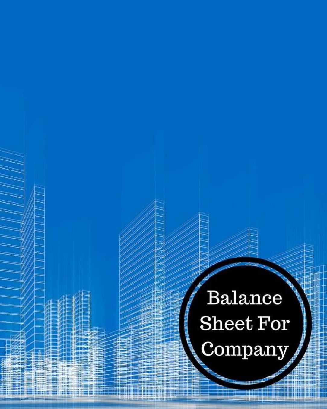 Balance Sheet For Company