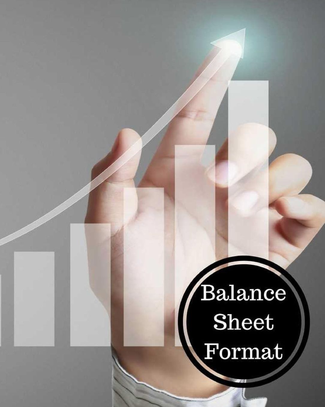 Balance Sheet Format