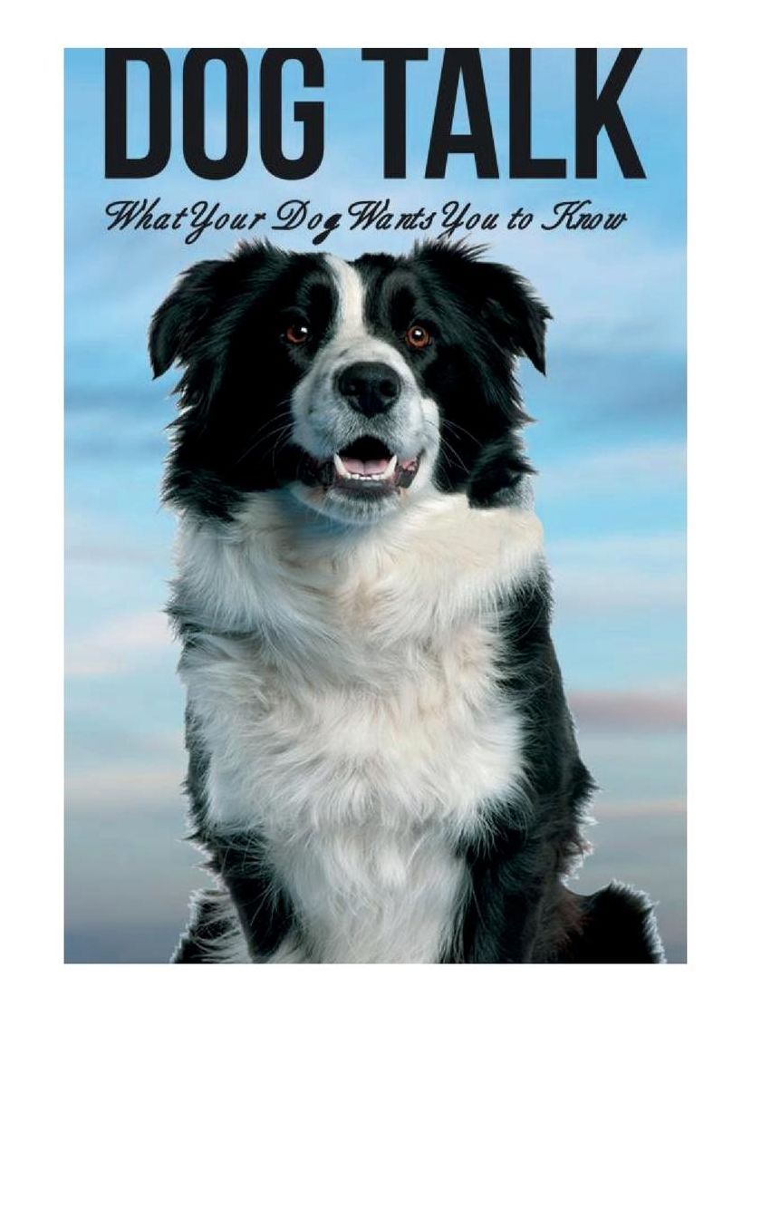 Dog Talk