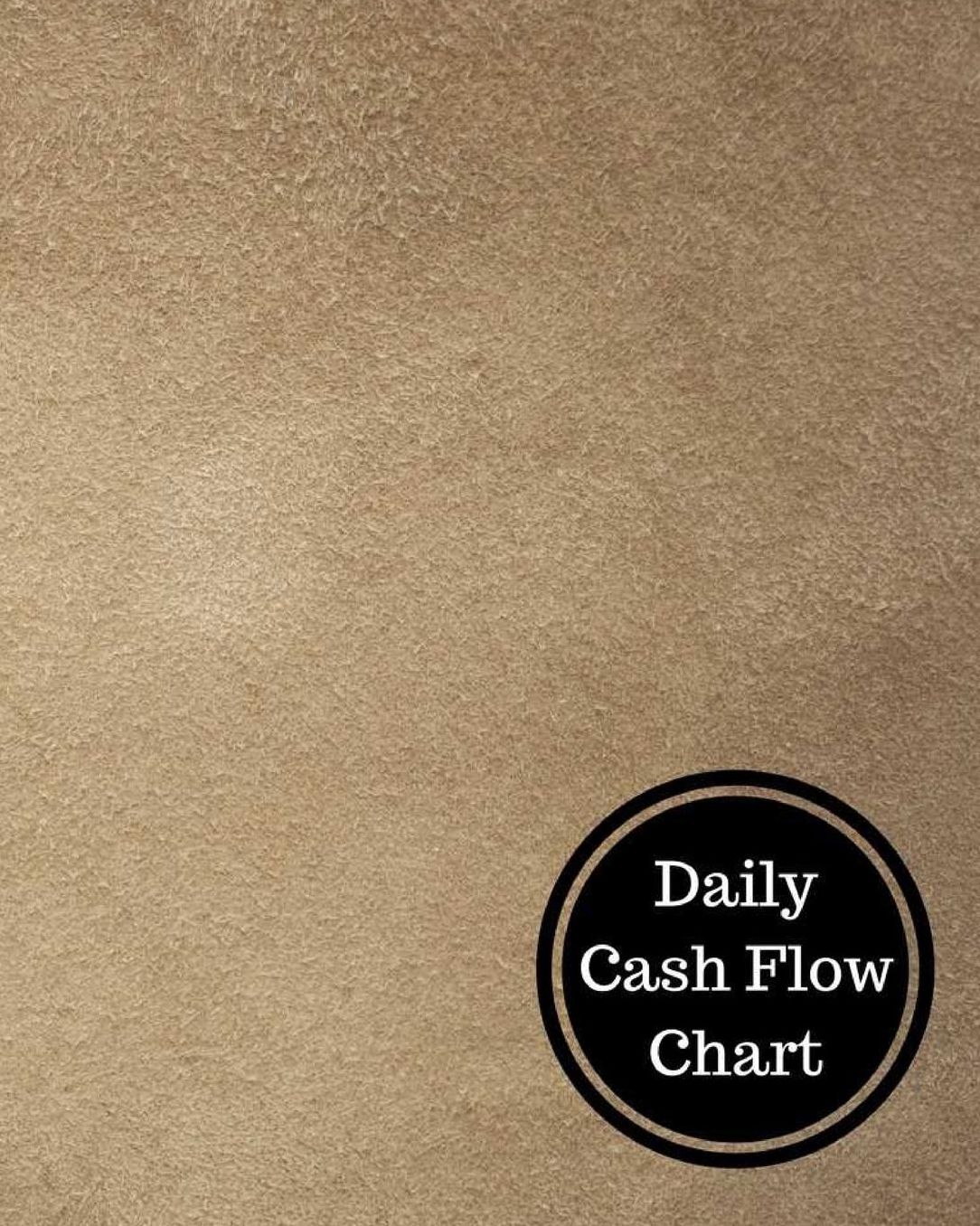 Daily Cash Flow Chart
