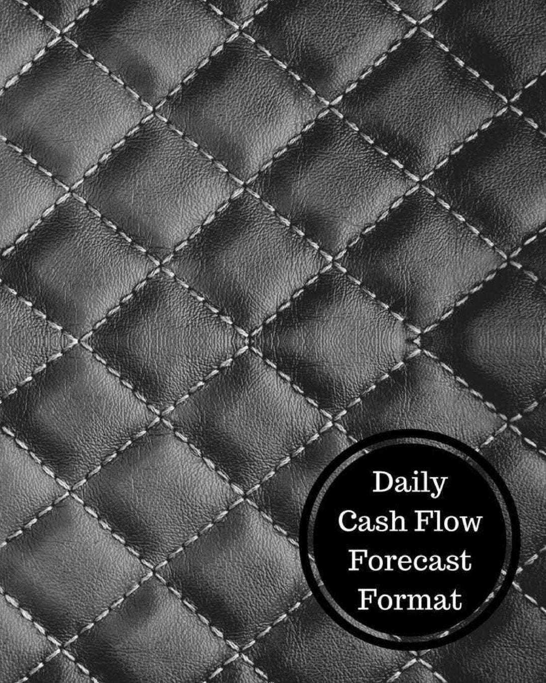 Daily Cash Flow Forecast Format