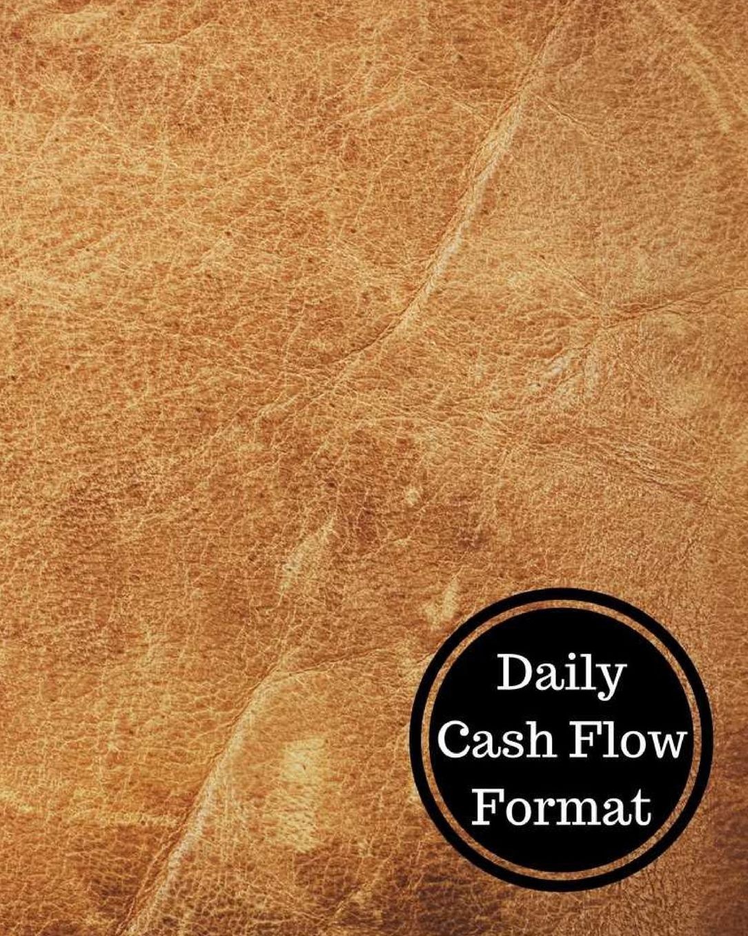 Daily Cash Flow Format