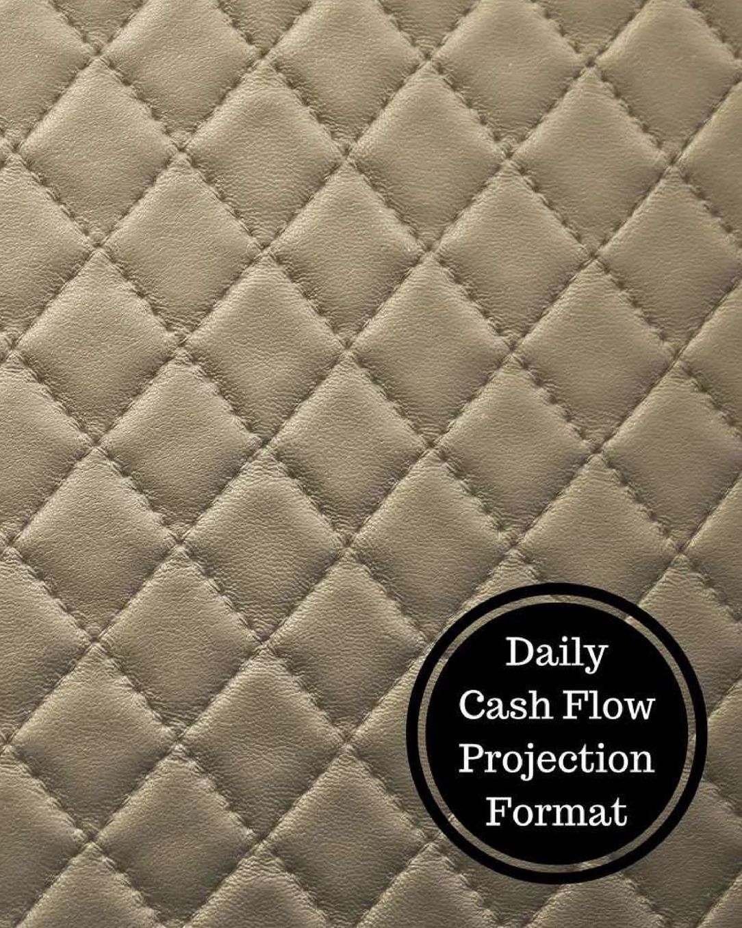 Daily Cash Flow Projection Format