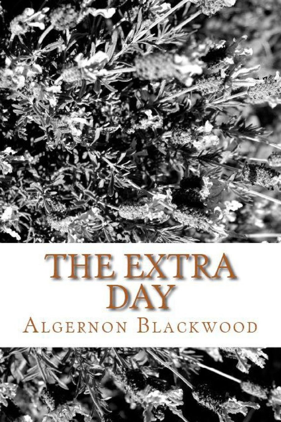 The Extra Day