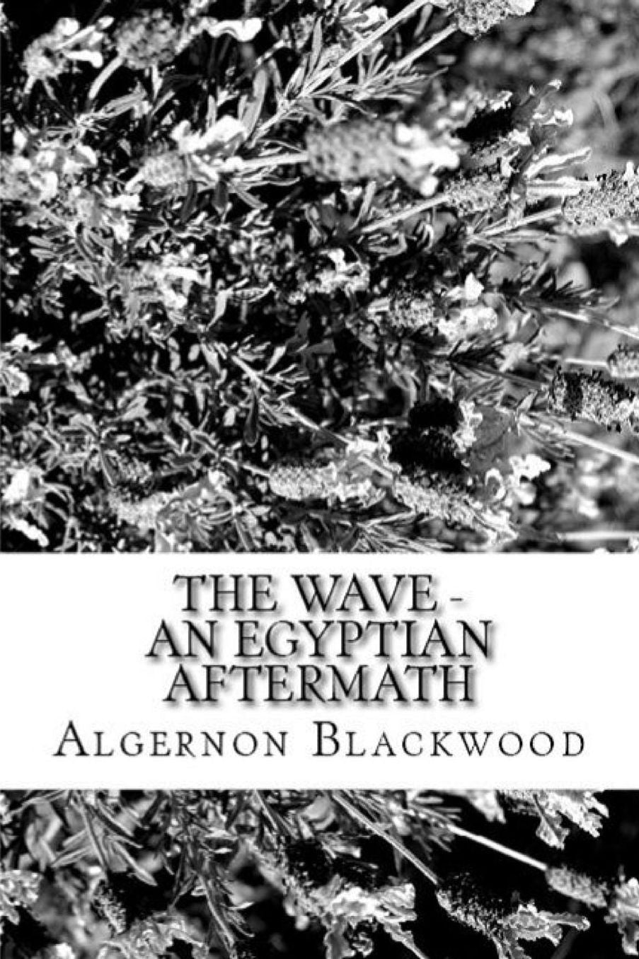 The Wave - An Egyptian Aftermath