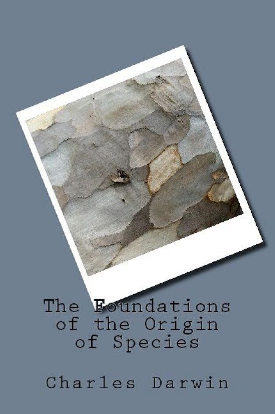 The Foundations of the Origin of Species