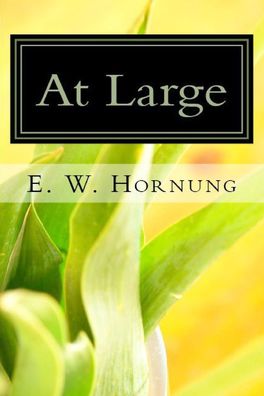 At Large