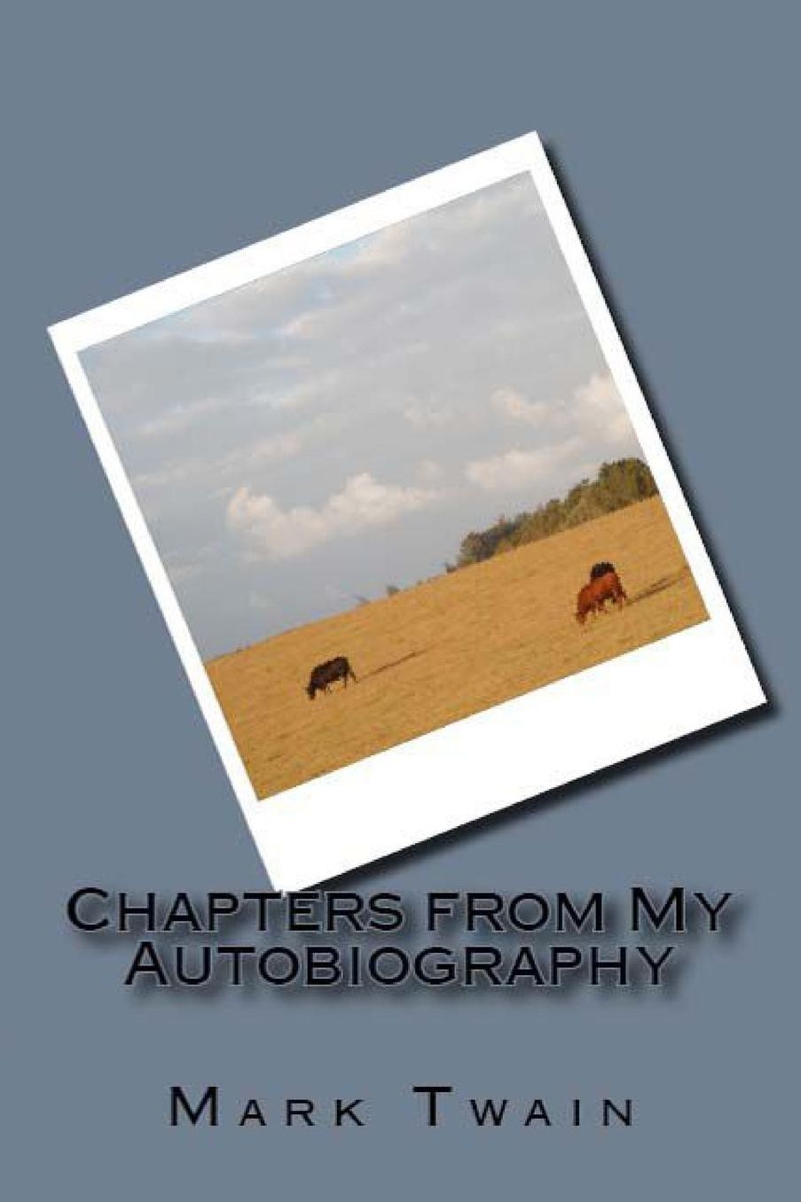 Chapters from My Autobiography