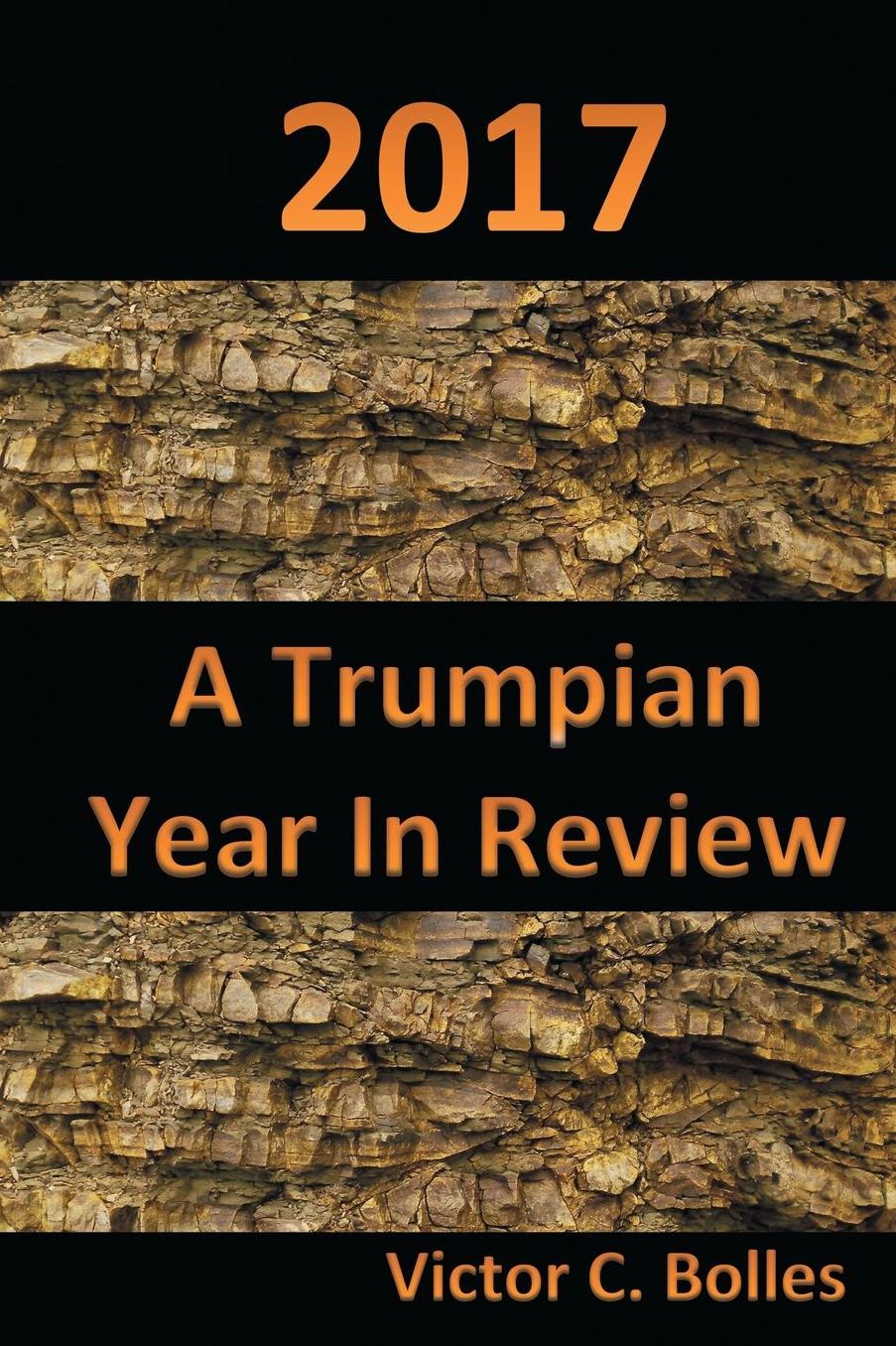 2017 - A Trumpian Year in Review