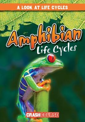 Amphibian Life Cycles