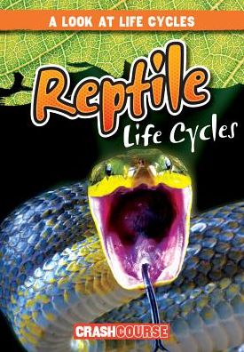 Reptile Life Cycles