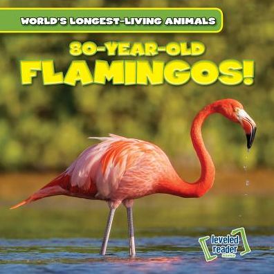 80-Year-Old Flamingos!
