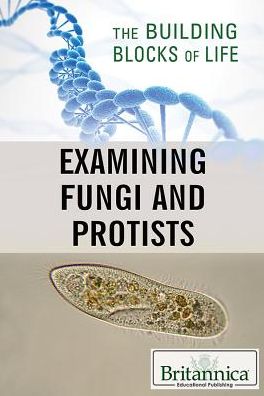 Examining Fungi and Protists