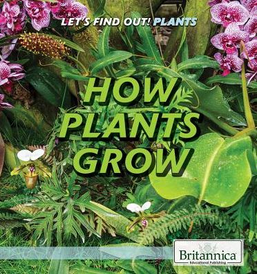 How Plants Grow