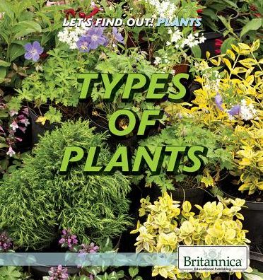 Types of Plants