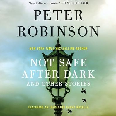 Not Safe after Dark, and Other Stories: And Other Stories