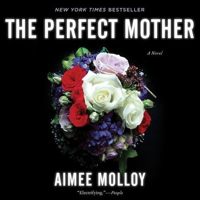 The Perfect Mother: A Novel