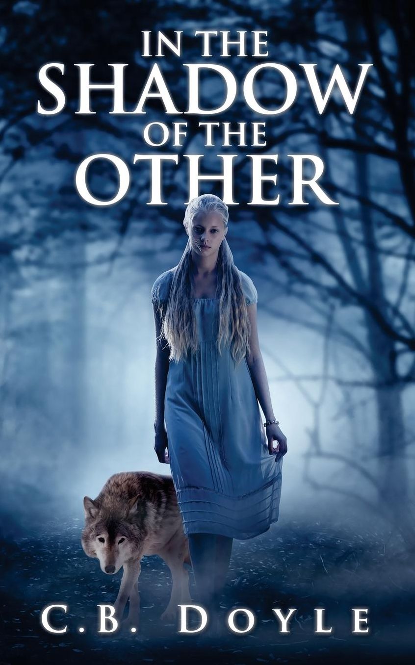 In The Shadow of The Other