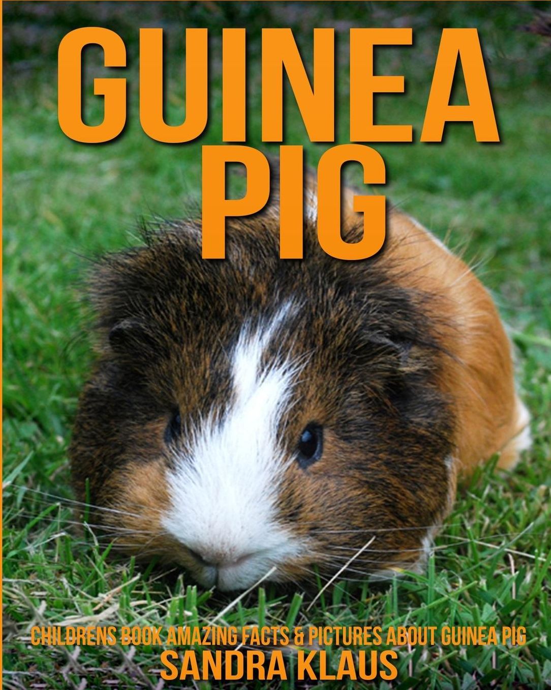 Childrens Book: Amazing Facts & Pictures about Guinea Pig