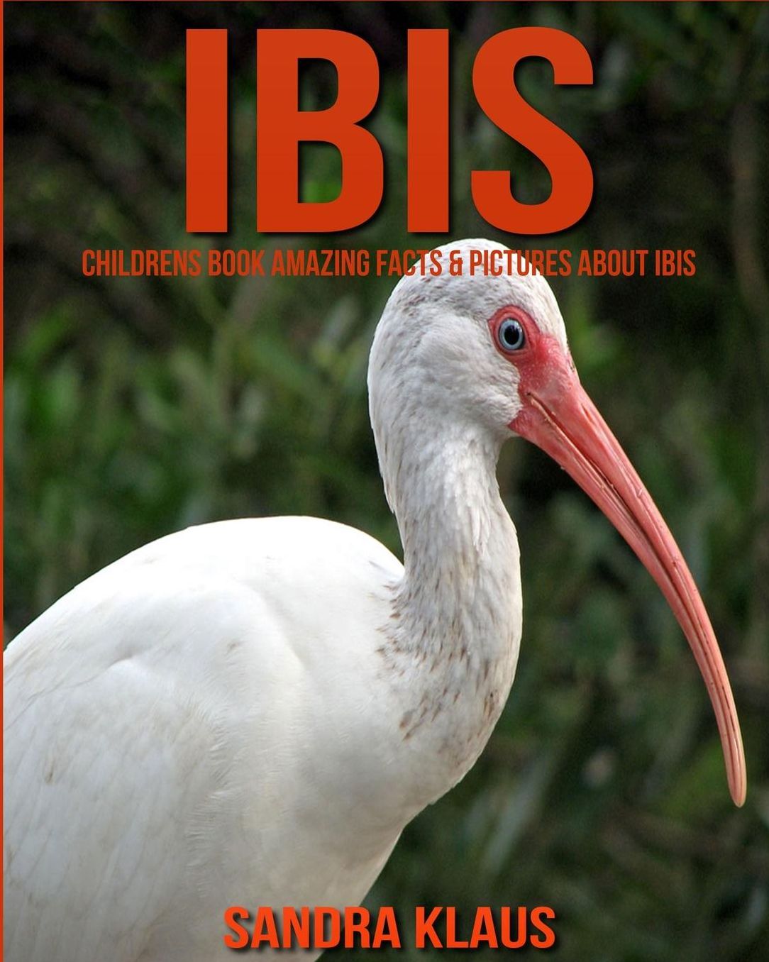 Childrens Book: Amazing Facts & Pictures about Ibis