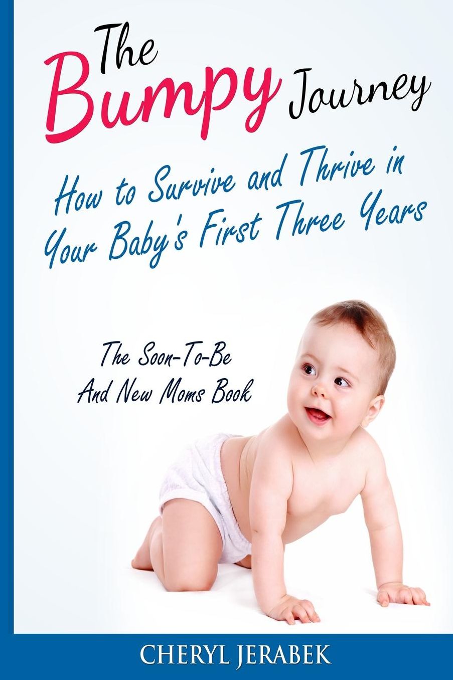 The Bumpy Journey: How to Survive and Thrive in your Baby?s First Three Years